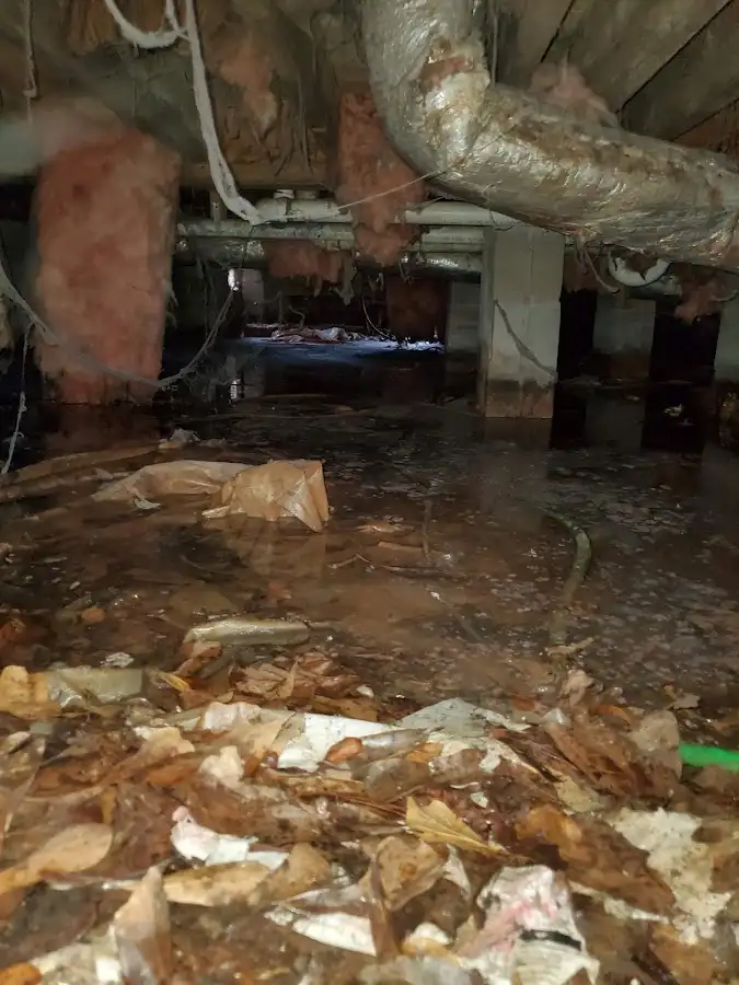 Crawl space flood assessment for Commercial Water Damage Restoration in Litchfield