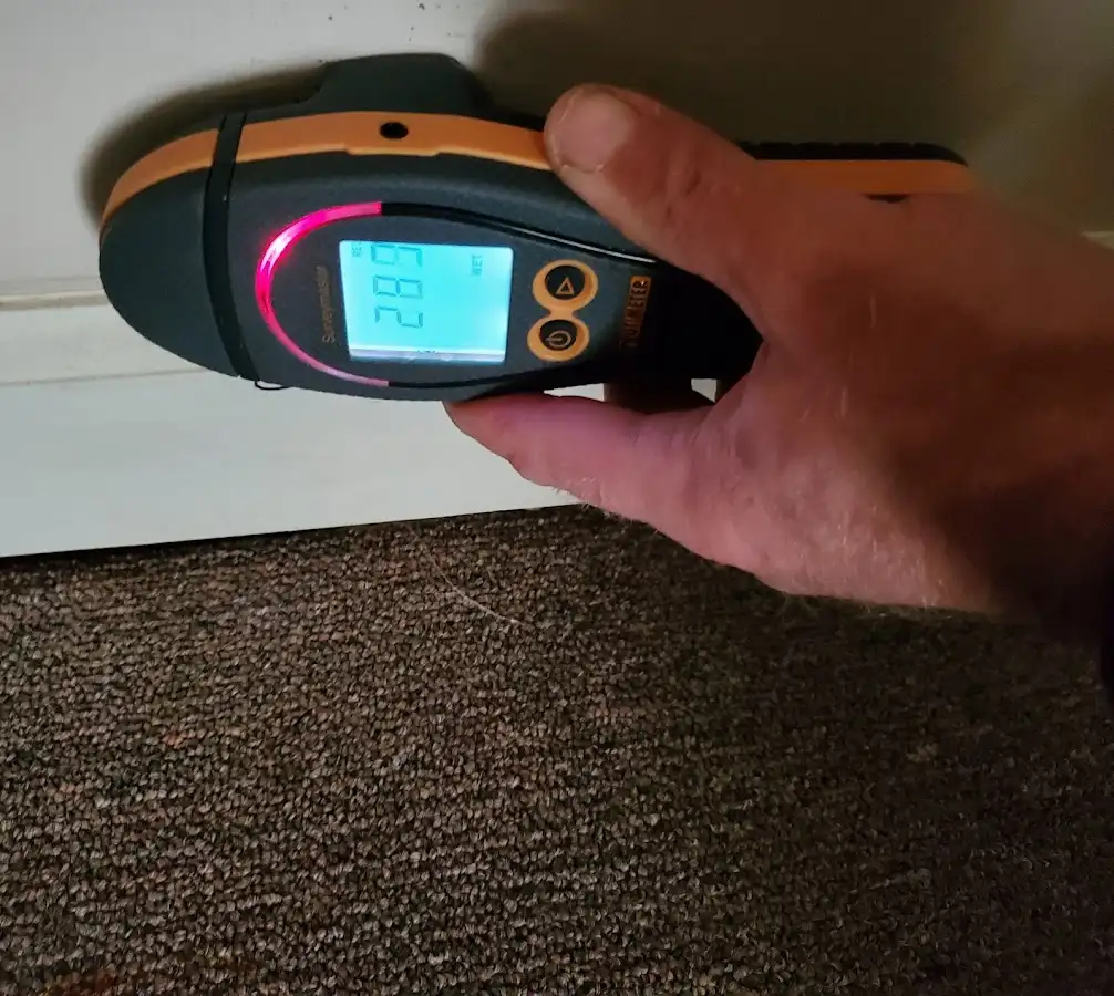 Moisture detection at baseboard during Sewage Cleanup & Sanitation in Litchfield